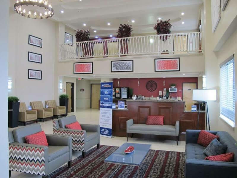 Comfort & Hotel